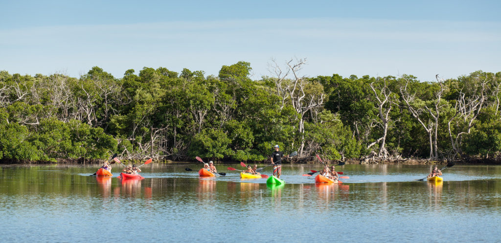 Key West Backcountry Safari Image 3