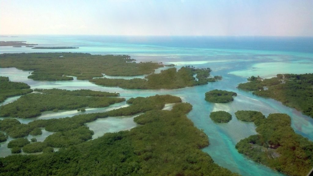 Key West Helicopter Tours Image 2