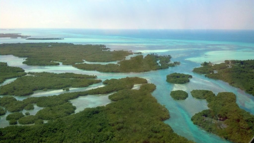 Key West Seven Mile Bridge Tour Helicopter Tour Image 3