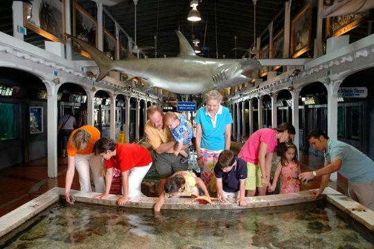 Key West Aquarium