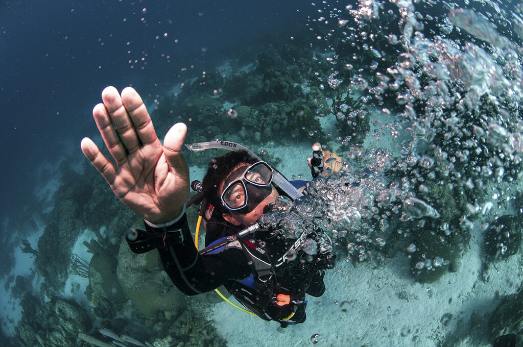 Key West Morning 2-Tank SCUBA Dive Image 3