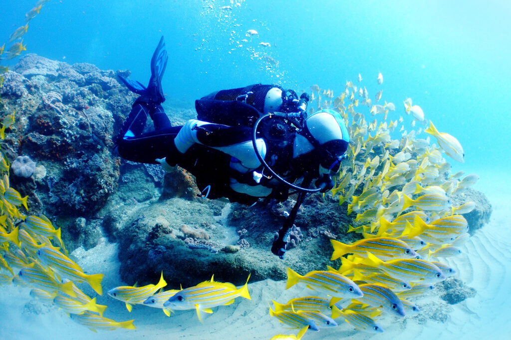 Key West Afternoon 2-Tank SCUBA Dive Image 1