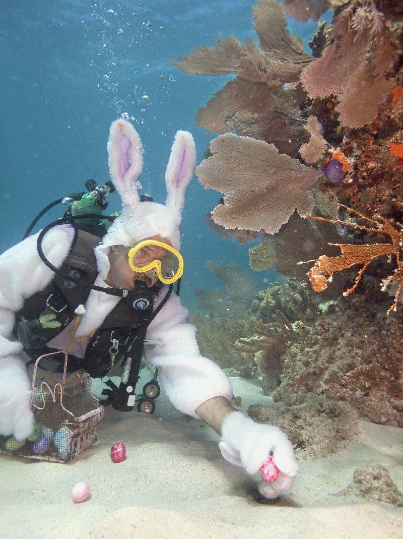 Easter in Key West Attractions Key West
