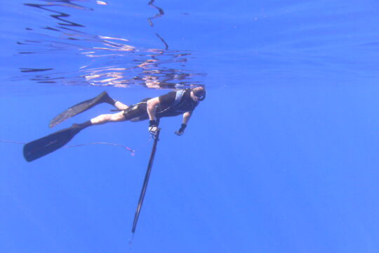 Spearfishing in Key West, Florida