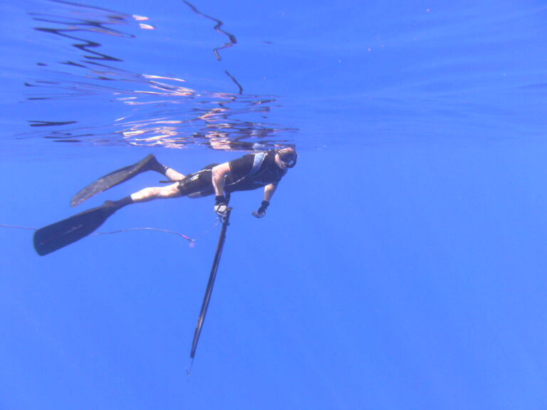 Spearfishing in Key West, Florida Attractions Key West